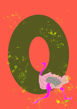 Load image into Gallery viewer, O is for Ostrich