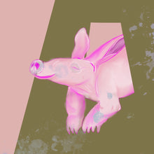 Load image into Gallery viewer, A is for Aardvark