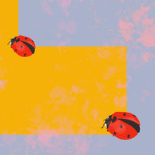 Load image into Gallery viewer, L is for Ladybird