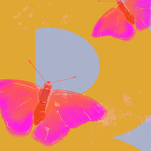 Load image into Gallery viewer, B is for Butterflies