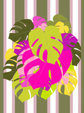 Load image into Gallery viewer, CheesePlant