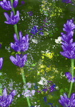Load image into Gallery viewer, Summer Lavender