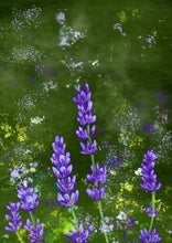 Load image into Gallery viewer, Summer Lavender