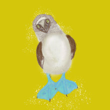 Load image into Gallery viewer, Blue Booby