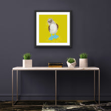 Load image into Gallery viewer, Blue Booby