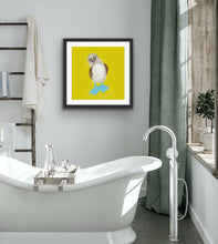 Load image into Gallery viewer, Blue Booby