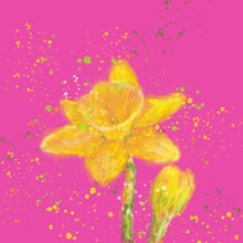 Load image into Gallery viewer, Pink Daffodil