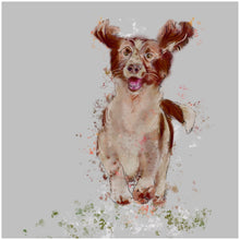 Load image into Gallery viewer, Springy Springer