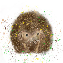 Load image into Gallery viewer, Little Hedgehog