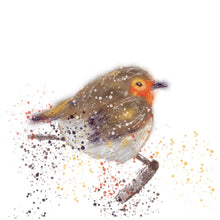 Load image into Gallery viewer, Robin