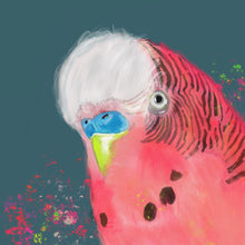 Load image into Gallery viewer, Edgar the Budgie