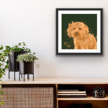 Load image into Gallery viewer, Cockapoo