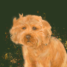 Load image into Gallery viewer, Cockapoo