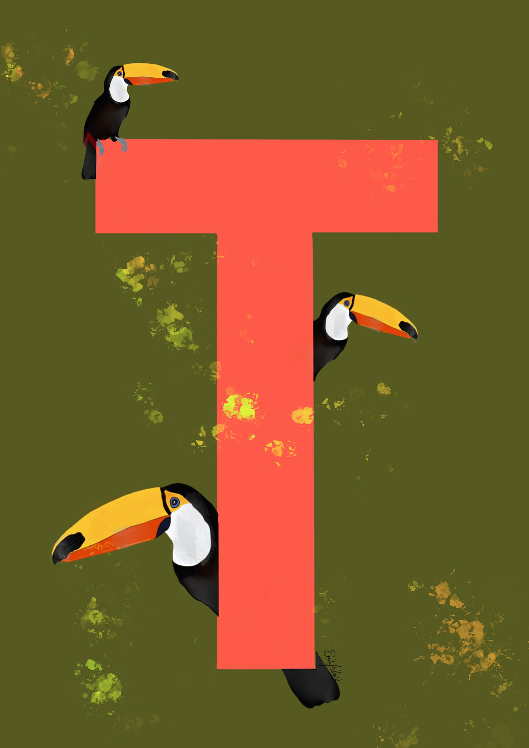 T is for Toucan