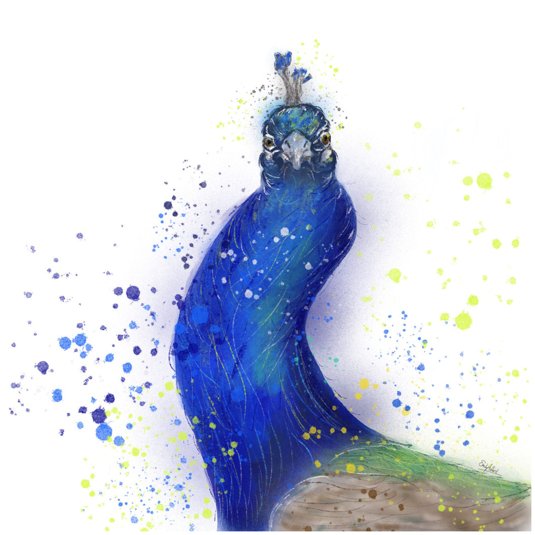 Sassy Peacock