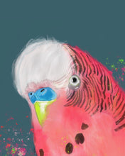 Load image into Gallery viewer, Edgar the Budgie
